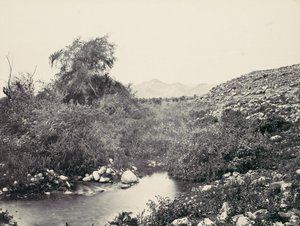 杰里科的喷泉和城市的可能地点，约1857年。