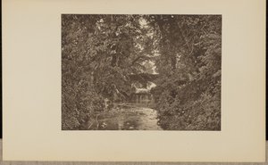 陶顿河上