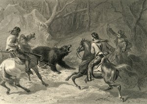 加利福尼亚土著人套住一只熊》，1874年。   作者 弗朗西斯·霍尔
