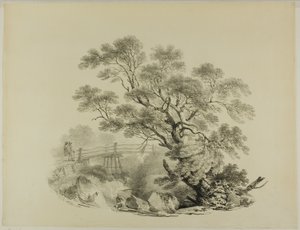 树与人行桥