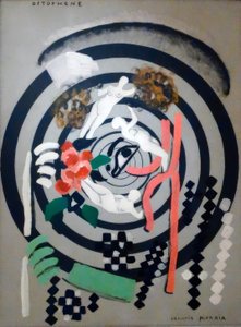 光电话 II 作者 弗朗西斯·毕卡比亚