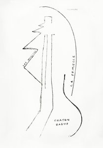 Poemes et Dessins de la Fille nee sans Mere》，第 23 期，洛桑 Reunies 出版社出版 作者 弗朗西斯·毕卡比亚