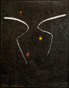 风/非理性的自然 作者 弗朗西斯·毕卡比亚