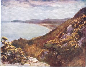 来自维多利亚山的都柏林湾，来自Peeps at Many Lands：Ireland，由Adams＆Charles于1909年出版 作者 弗朗西斯·沃克