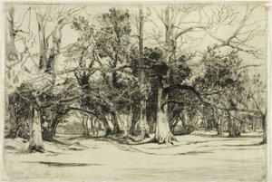 蒂珀雷里的一条小路 作者 弗朗西斯·西摩·哈登（Francis Seymour Haden）