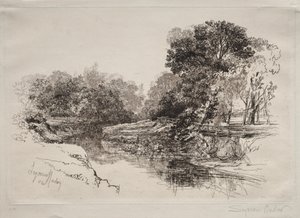 爱尔兰的一条河 作者 弗朗西斯·西摩·哈登（Francis Seymour Haden）