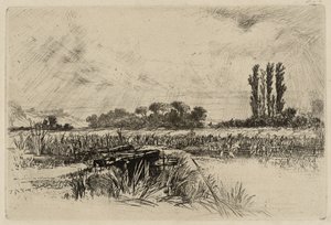 水草甸 作者 弗朗西斯·西摩·哈登（Francis Seymour Haden）