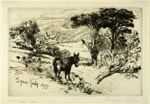 查洛农场 作者 弗朗西斯·西摩·哈登（Francis Seymour Haden）