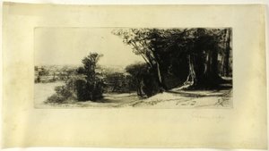 清晨，里士满公园 作者 弗朗西斯·西摩·哈登（Francis Seymour Haden）