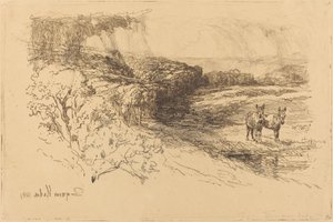 恩科姆森林（1号） 作者 弗朗西斯·西摩·哈登（Francis Seymour Haden）