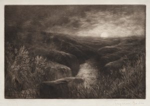 蚊子的困扰。 作者 弗朗西斯·西摩·哈登（Francis Seymour Haden）