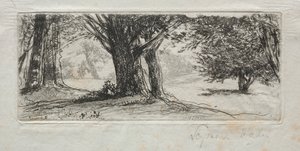 霍利-菲尔德 作者 弗朗西斯·西摩·哈登（Francis Seymour Haden）