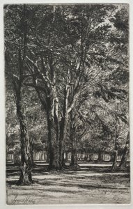 肯辛顿花园大盘子，1860年。 作者 弗朗西斯·西摩·哈登（Francis Seymour Haden）