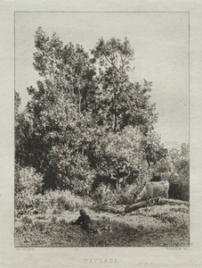景观 作者 弗朗西斯·西摩·哈登（Francis Seymour Haden）