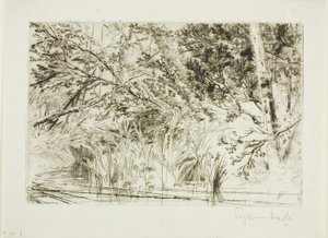 溪口，第二号 作者 弗朗西斯·西摩·哈登（Francis Seymour Haden）