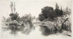 共享磨坊池塘 作者 弗朗西斯·西摩·哈登（Francis Seymour Haden）