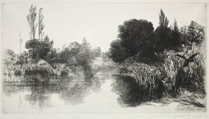 1860年及以后的Shere Mill Pond，第11号《大板块》。