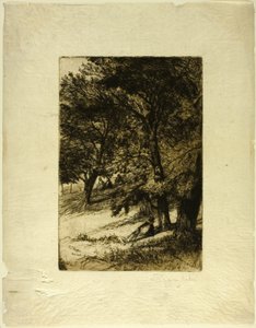 子制作... 作者 弗朗西斯·西摩·哈登（Francis Seymour Haden）