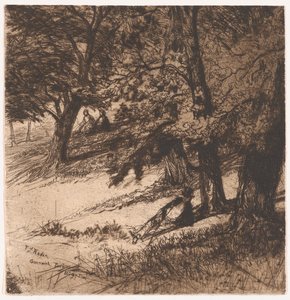 Sub Tegmine..., 1859., 1859. 作者 弗朗西斯·西摩·哈登（Francis Seymour Haden）