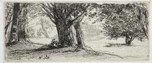 冬青田。 作者 弗朗西斯·西摩·哈登（Francis Seymour Haden）