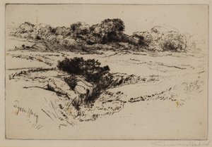 风车山2号 作者 弗朗西斯·西摩·哈登（Francis Seymour Haden）