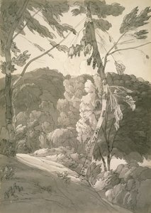 No.1091树木繁茂的景观（Indinowle的一个场景）1783（铅笔，钢笔和墨水在纸上洗）