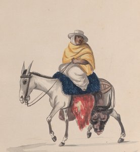 一个骑着驴子的屠夫，来自一组描绘秘鲁服装的图画，约1848年。