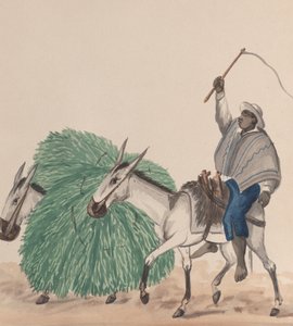 一个人骑着骡子，扬起鞭子，另一头骡子在旁边装着草......，约1848年。