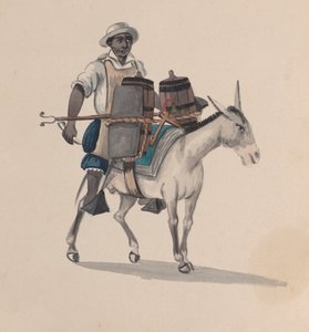 一个骑着驴子的运水工，来自一组描绘秘鲁服装的图画，约1848年。
