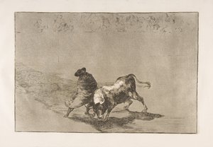 Tauromaquia的第14页：1816年，非常熟练的Falces学生，裹在披肩里。 作者 弗朗西斯科·德·戈雅