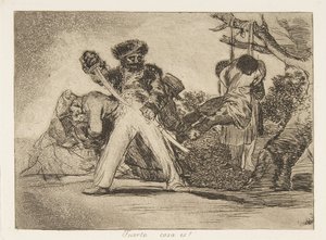 《战争的灾难》第31页，《灭亡的沙漠》，1810年出版，1863年。 作者 弗朗西斯科·德·戈雅