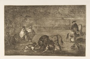 图C：狗在公牛上放松。 1816。 作者 弗朗西斯科·德·戈雅