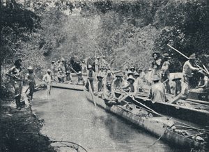 罗德斯托的探索。 Anastacio，1895年 作者 弗朗西斯科·亨斯勒