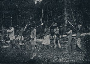 瓜拉尼印第安人从狩猎归来，1895年 作者 弗朗西斯科·亨斯勒
