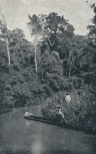 Rio de S.Anastacio，1895年 作者 弗朗西斯科·亨斯勒