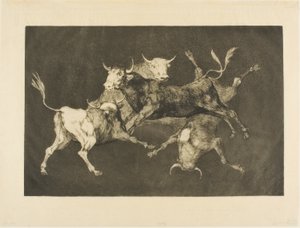 愚人的愚蠢》，选自《与众不同》（Disparates 作者 弗朗西斯科·何塞·德·戈雅 y Lucientes