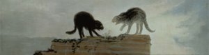 猫打架