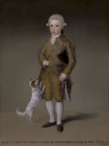 Don Vicente Isabel Osorio de Moscoso和ÁlvarezdeToledo，Trastámara伯爵，1787-88 作者 弗朗西斯科·德·戈雅