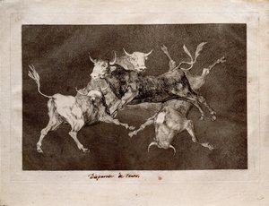 Los Disparates Follies系列中的傻瓜，1815-1819年 作者 弗朗西斯科·德·戈雅