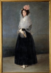 德尔卡皮奥伯爵夫人的肖像，索拉纳侯爵夫人 (1757-1795) 弗朗西斯科·德·戈雅 (Francisco de Goya)（1746-1828 年）18 世纪的画作。 1,81 x 1,22 m 作者 Francisco de Goya