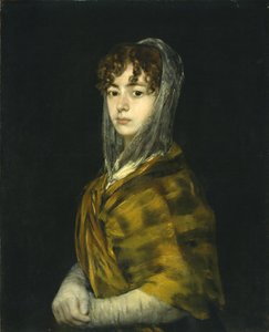 塞诺拉·萨瓦萨·加西亚（Senora Sabasa Garcia），约1806-11年（布面油画） 作者 弗朗西斯科·德·戈雅