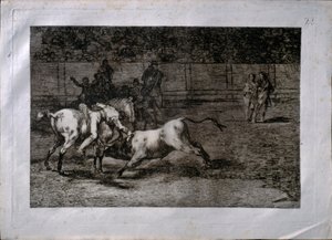 马里亚诺·塞巴洛斯（Mariano Ceballos）被称为埃尔印第奥（El Indio） 作者 弗朗西斯科·德·戈雅