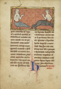 兽人路德维希十五世（Ludwig XV 4）的警笛和半人马座，如下。 81v，c.1280-1300（蛋彩画，笔和墨水，金箔和羊皮纸上的颜料）