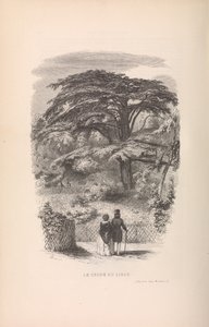 Le Jardin des Plantes, Descriptions et Moeurs des Mammiferes, 1842.