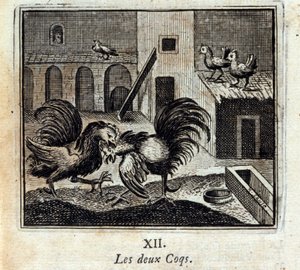 两只鸡。Jean de La Fontaine (1621-95)的寓言。插图：François Chauveau（1613-1676）。1728年的版本。 作者 弗朗索瓦·夏维