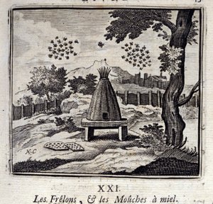 大黄蜂和蜜蝇Jean de La Fontaine (1621-95)的寓言。插图：François Chauveau（1613-1676）。1728年的版本。 作者 弗朗索瓦·夏维