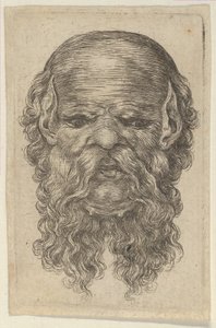 秃头男子的面具，有尖尖的耳朵和长长的分叉胡须，来自Divers Masques，约1635-45。 作者 弗朗索瓦·夏维