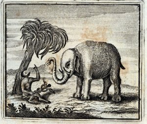 大象和朱庇特的猴子。Jean de La Fontaine (1621-95)的寓言。插图：François Chauveau（1613-1676）。1728年的版本。