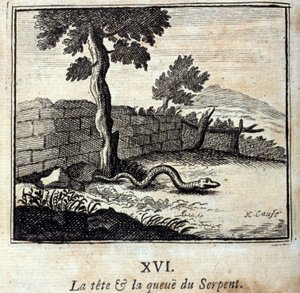 蛇的头和尾。Jean de La Fontaine (1621-95)的寓言。插图：François Chauveau（1613-1676）。1728年的版本。 作者 弗朗索瓦·夏维