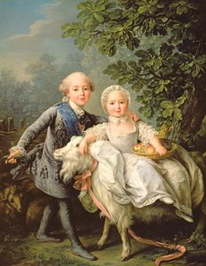 法国查尔斯·菲利普（1757-1836）（后来的查理十世）及其妹妹玛丽·阿德莱德（1759-1802）（后撒丁岛女王）的肖像1763